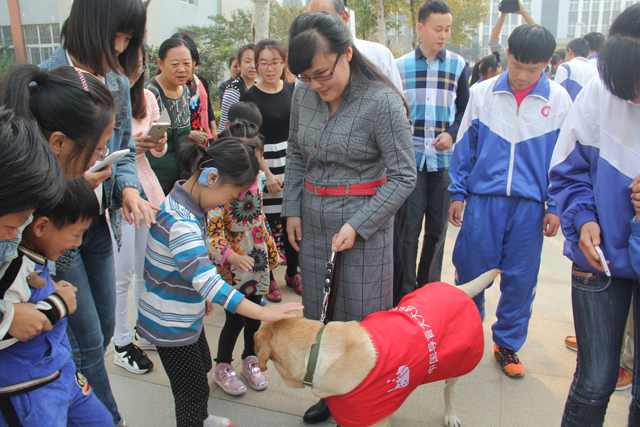 淄博市慶祝第32個(gè)“國際盲人節(jié)”座談會(huì)在我校召開