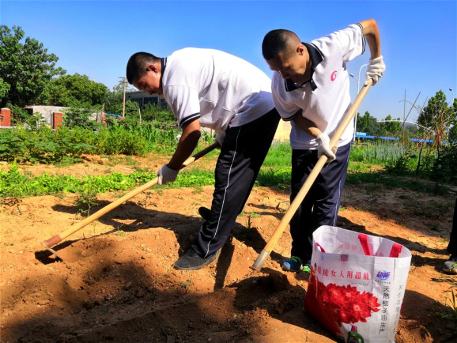 市特教中心舉行“展學藝、慶黨建”活動