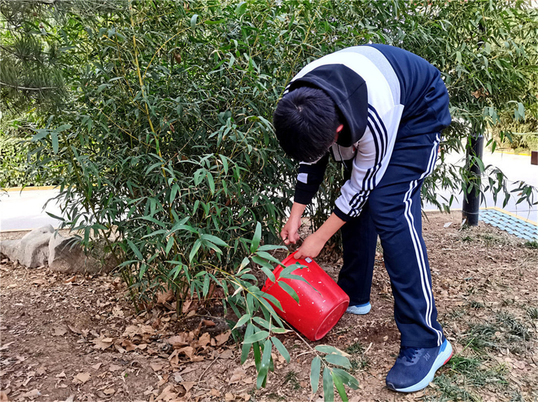 雷鋒使者在行動 愛綠護(hù)綠美校園