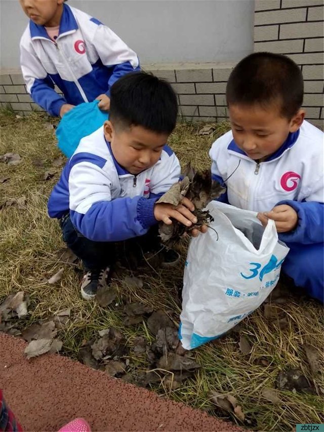 踐行雷鋒精神 營造綠色校園