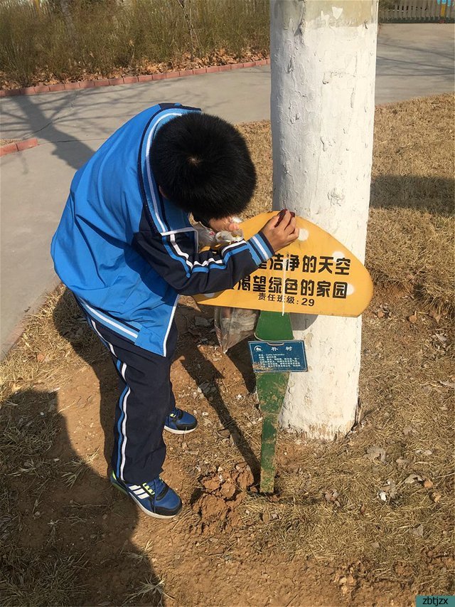 愛綠護綠 美我校園