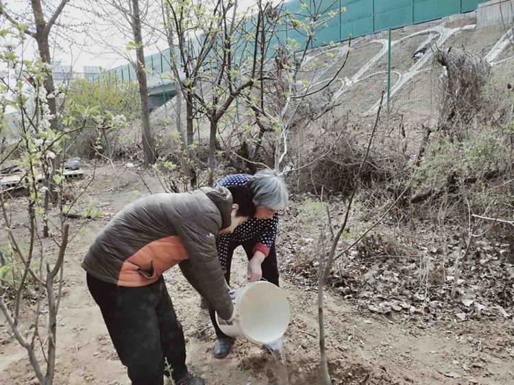 勞動充盈身心 實踐促進成長